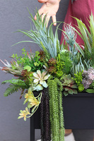 Asia Modern Resato 2, sukulenty w donicy na stojaku