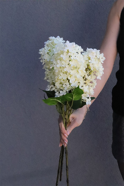 Bzy Deluxe Premium, gumowy bez kwitnący lilak