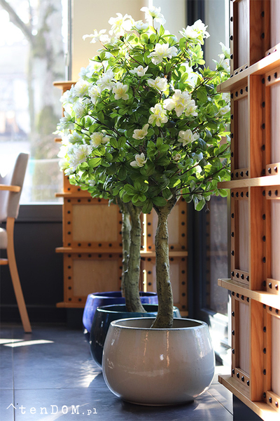 Azalia, sztuczna roślina w doniczce