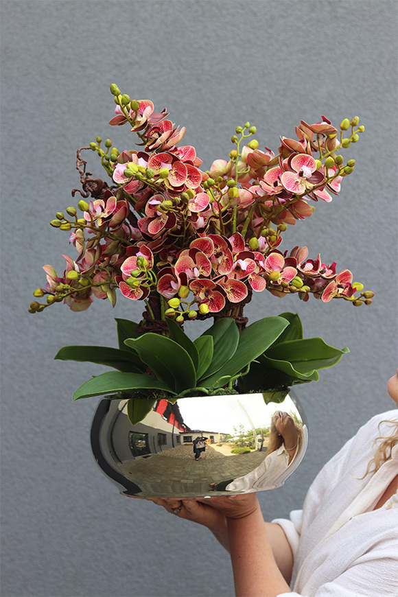 Korelle Granada, sztuczny storczyk w złotej misie