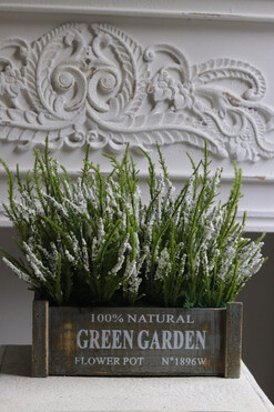 Green Garden, białe wrzosy w drewnianej skrzynce, wys.30cm