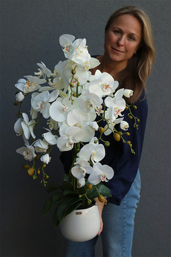 Ferani, biały storczyk w porcelanowym naczyniu, M, wys.70cm 