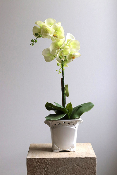 Arabesca, zielony sztuczny storczyk w ażurowej donicy