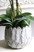 Pióra, storczyk w ceramicznej misie