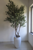 Drzewko Oliwne, sztuczna roślina w donicy