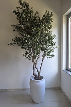 Drzewko Oliwne Havra, sztuczna roślina w donicy, wys.230cm