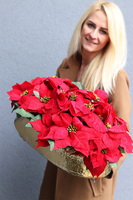 Gwiazda Betlejemska Złoto Deluxe, wysokiej jakości sztuczna roślina