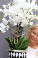 Szachownica 2, wysokiej jakości sztuczny storczyk