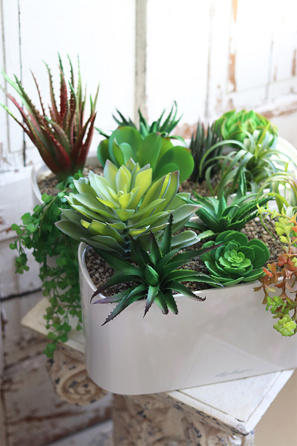 Lechuza Simple B, minimalistyczna kompozycja z sukulentów w eleganckiej donicy, wym.23x40cm