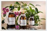 Truth of Oils, dyfuzor zapachowy, Loose with Spruce, 1000ml