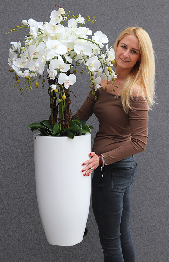 White Grande Fiberglass, sztuczny storczyk w białej donicy, wys.120cm
