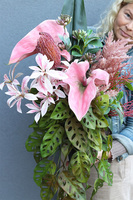 Anturium Giganta, bukiet nagrobny we wkładzie