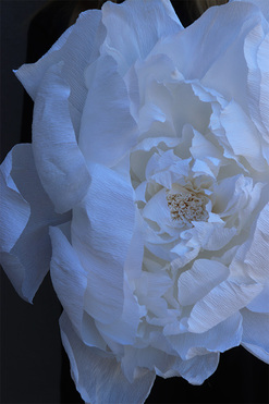 Paper Flower K, ręcznie robiony kwiat papierowy, wym.42x19cm