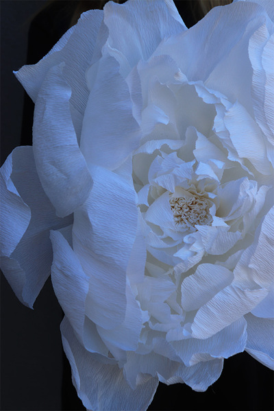 Paper Flower K, ręcznie robiony kwiat papierowy, wym.42x19cm