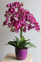 Fuksjowa Bajka, sztuczny storczyk w naczyniu