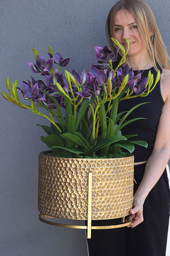 OD RĘKI Goldenario Harlow 3, gumowy storczyk w złotej donicy, wys.70cm 