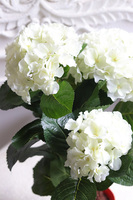 doniczkowa hortensja Kremowa, wysokiej jakości sztuczne kwiaty