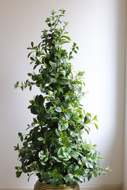 New Green GoldLine, drzewko sztuczne kolumnowe w donicy, wys.160cm 