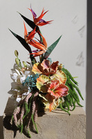 Strelicja Piano Gold, egzotyczna kompozycja w misie