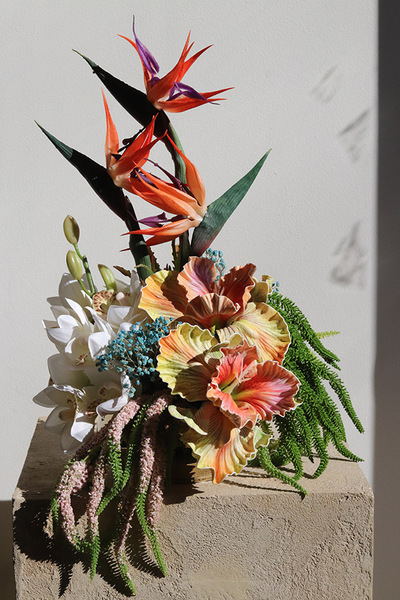 Strelicja Piano Gold, egzotyczna kompozycja w misie