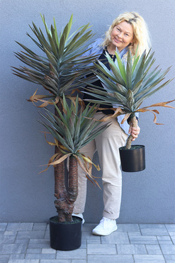 Jukka Florida 2, sztuczna roślina drzewko, wys.156cm 