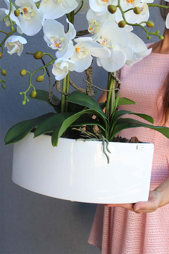 Manfredo Cream, sztuczny storczyk w białej donicy, wys.60cm