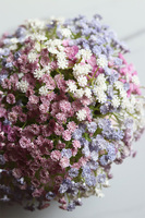 Kaszka Pastelowa Pink kompozycja kwiatowa w naczyniu