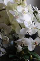 Belia White, biały sztuczny storczyk w białej donicy