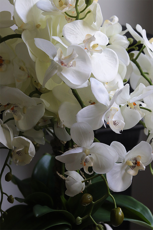 Belia White, biały sztuczny storczyk w białej donicy