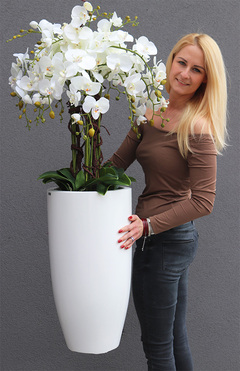 White Grande Fiberglass, sztuczny storczyk w białej donicy, wys.120cm