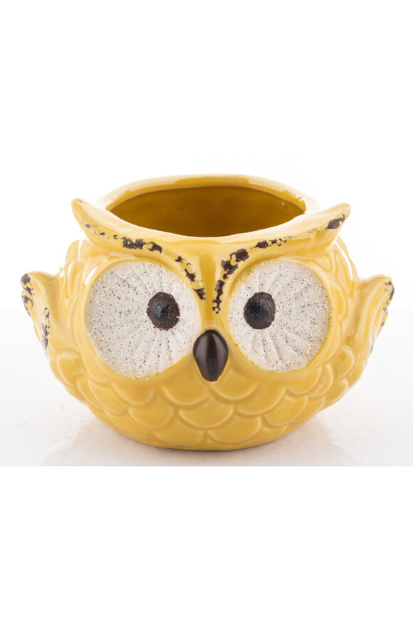 Cottage Owl, osłonka na kwiaty, żółta