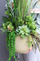 Greenis, kompozycja z trawami w złotej donicy