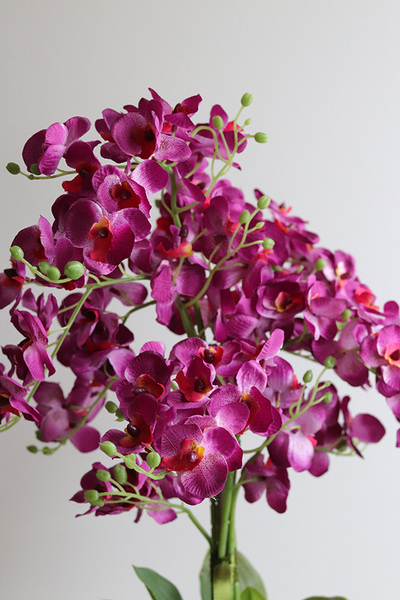 Fuksjowa Bajka, sztuczny storczyk w naczyniu