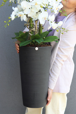 OD RĘKI Genova Black, sztuczny storczyk w wysokiej donicy, wys.110cm