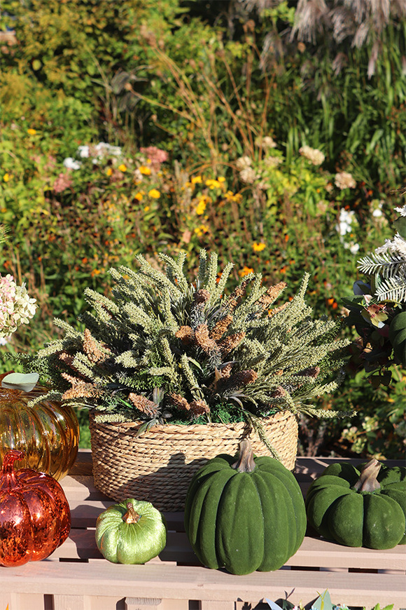 Wrzosowisko Zieleń, kompozycja kwiatowa w donicy