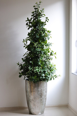 New Green Srebrna Bajka, drzewko sztuczne kolumnowe w donicy, wys.190cm 