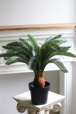 Cykas Young, sztuczna roślina w osłonce z tworzywa sztucznego, wys.58cm