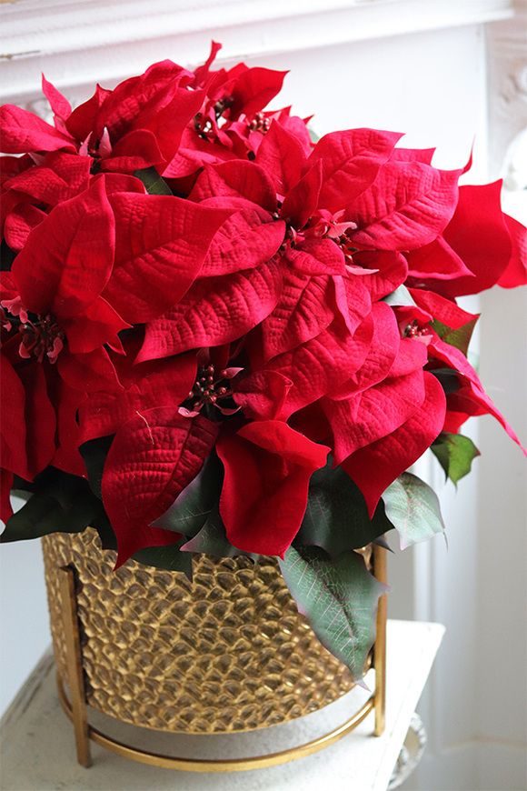  Gwiazda Betlejemska Pucharina, sztuczna roślina w donicy