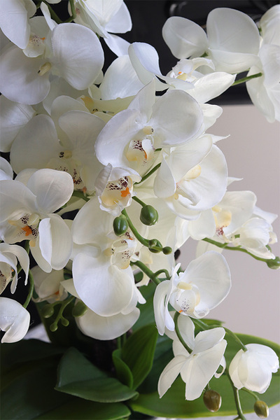 Blue Jedia, sztuczny storczyk w fioletowej donicy