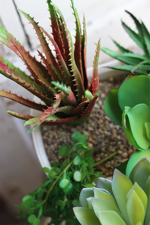 Lechuza Simple B, minimalistyczna kompozycja z sukulentów w eleganckiej donicy, wym.23x40cm