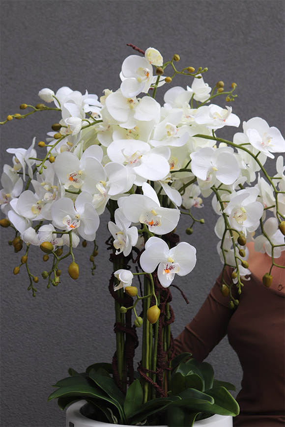 White Grande Fiberglass, sztuczny storczyk w białej donicy, wys.120cm