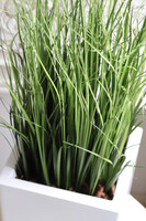 Fiberglass White, sztuczne trawy w eleganckiej donicy