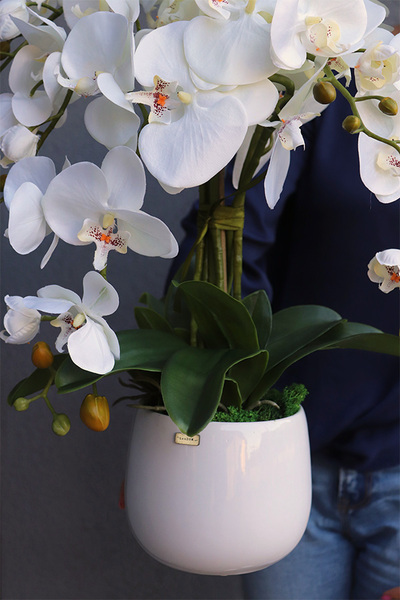 Ferani, biały storczyk w porcelanowym naczyniu, S