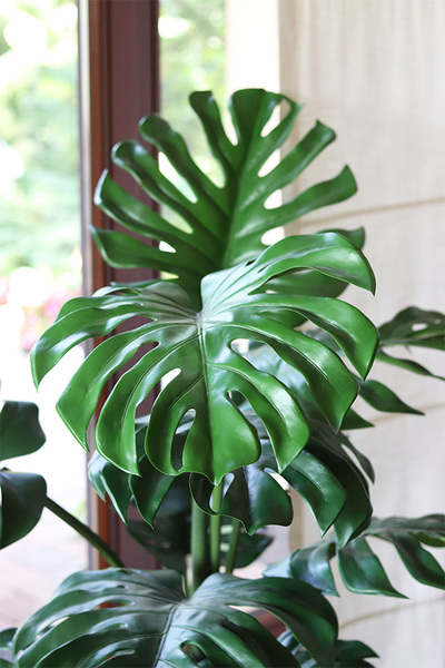 Monstera, sztuczne drzewko w doniczce