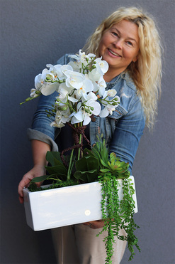 Banerra Carreta, sztuczny storczyk z sukulentami, wys.58cm 