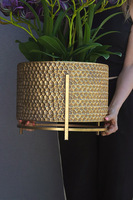  Goldenario Harlow 3, gumowy storczyk w złotej donicy