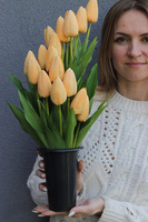 Tulippo New Design Morelle, komplet dekoracji nagrobnych