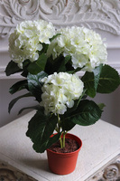 doniczkowa hortensja Kremowa, wysokiej jakości sztuczne kwiaty