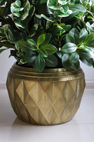 New Green GoldLine, drzewko sztuczne kolumnowe w donicy