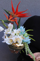 Strelicja Piano Gold, egzotyczna kompozycja w misie